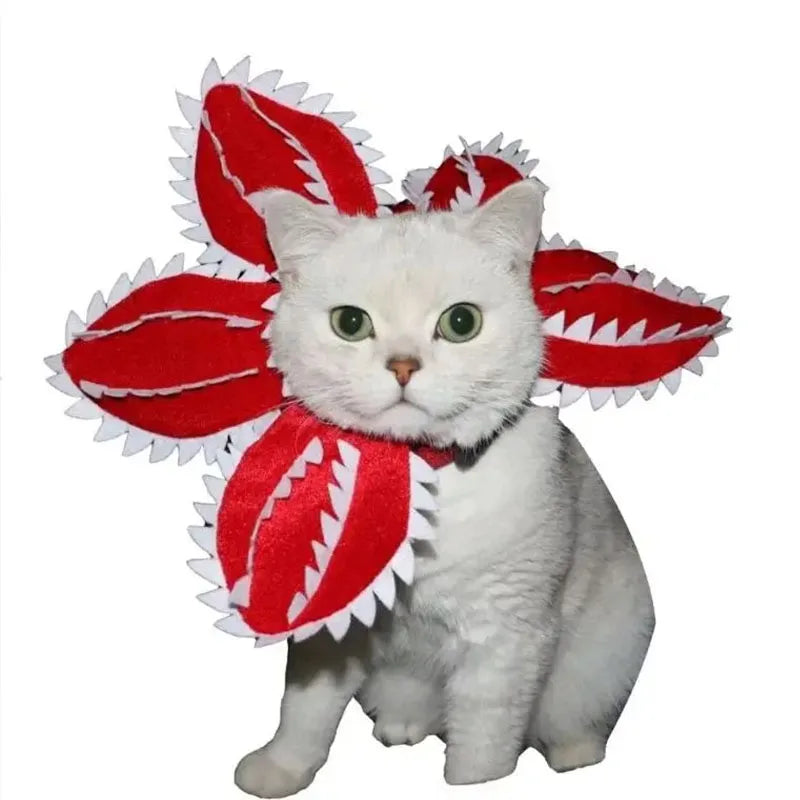 StrayngerPaws™ Pet Costume