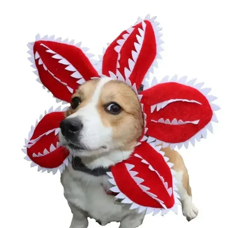 StrayngerPaws™ Pet Costume